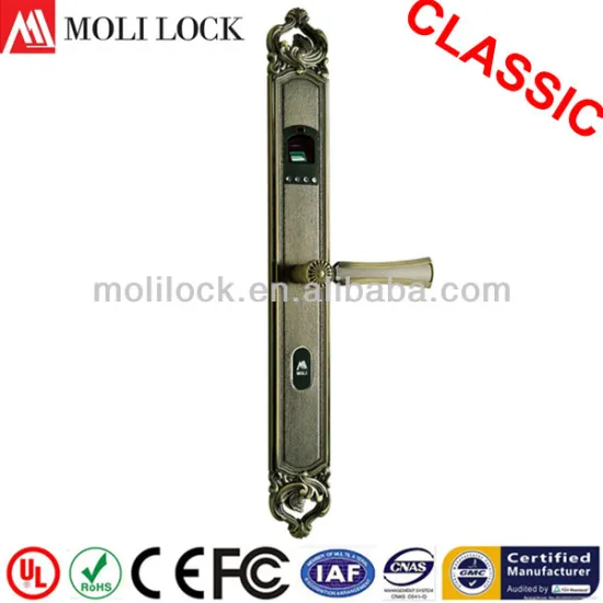 Cheap Biometric Fingerprint Locks, Vogue Fingerprint USB with Locks, Fingerprint System