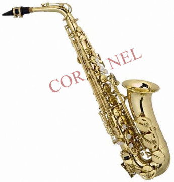 Alto Saxophone (AS100G)