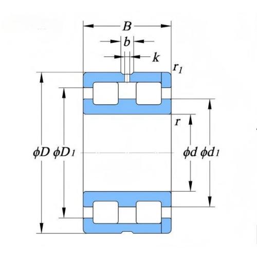 双列满装圆柱滚子轴承