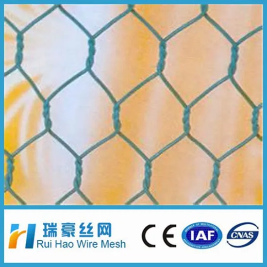 Low Price PVC Coated / Galvanized Hexagonal Wire Mesh