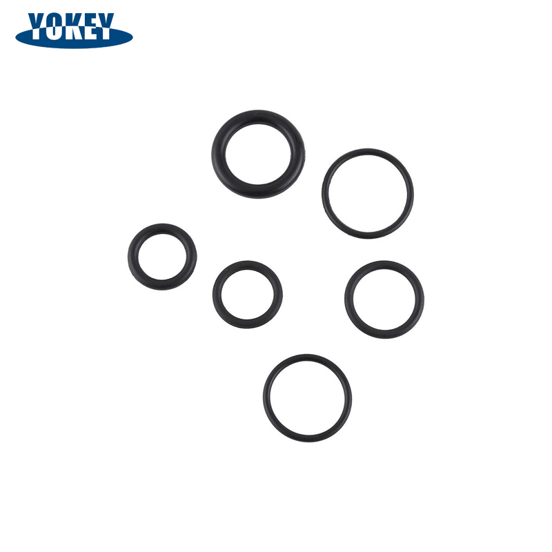 FKM Coated O-Ring Acid and Alkali Resistant PFA/FEP Encapsulated O-Ring