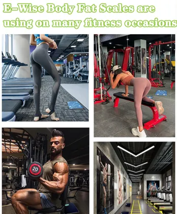 Inbody Machine Professional Body Composition Fat Analyzer Smart Scale