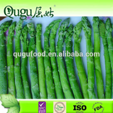 430g Canned green asparagus, asparagus price,