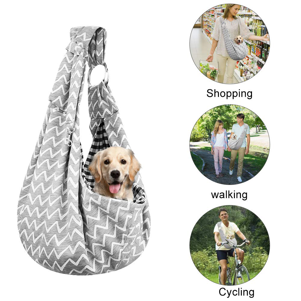 Pet Travel Carrier