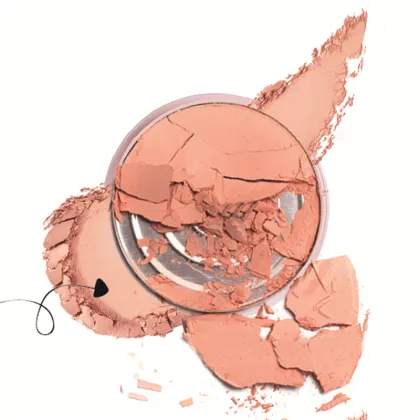 Custom Natural Color Cosmetics Palette: Blush, Concealer, Foundation Powder