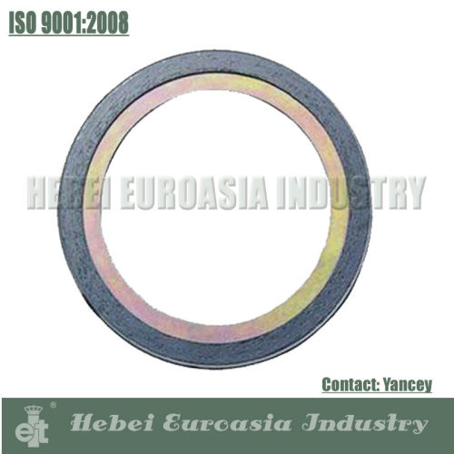 Inner Ring Type Spiral Wound Gasket, High Quality Inner Ring Type