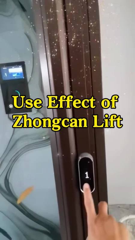 Residential Elevator Carrying 3 People