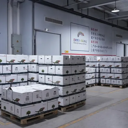 Ettume green powder coating powder