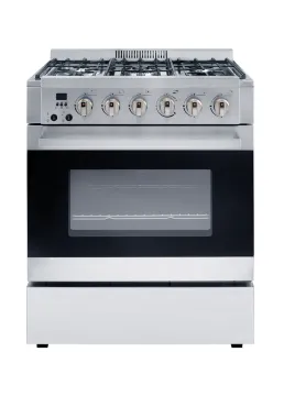 Freestanding Electric Oven With Glass Lid