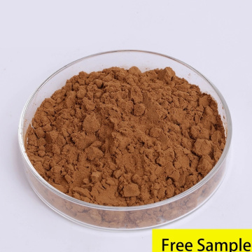 100% Natual Ganoderma Lucidum Extract Reishi Polysaccharide