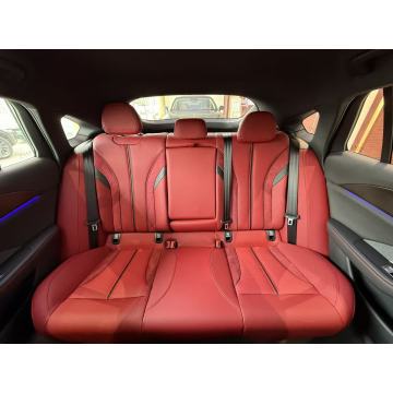 Elegant Interior Hongqi H6 Vehicle
