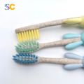 Cepillo de dientes para niños Cepillo de dientes para niños Cepillo de dientes de paja degradable