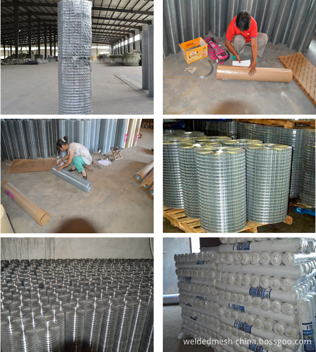 welded wire mesh packing