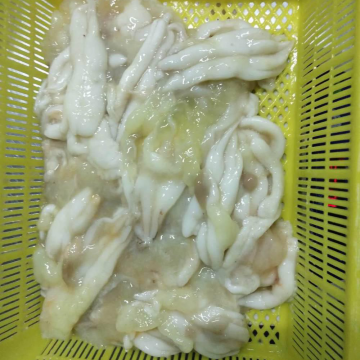 Frozen Illex Argentinus Squid Roes
