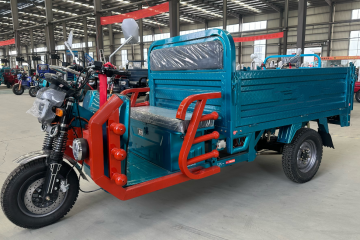 High Performance Electric Tricycle for Delivery Tasks