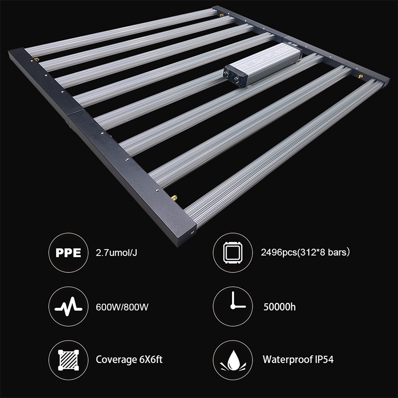 Intertek Grow Light 1000 W