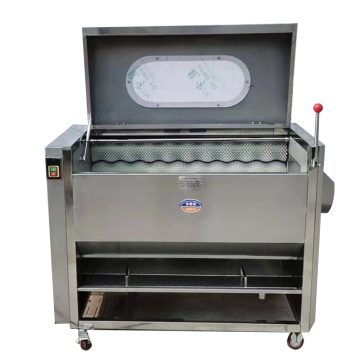 Commercial Brush Washing Machine for Food Cleaning and Fruit Vegetable Equipment