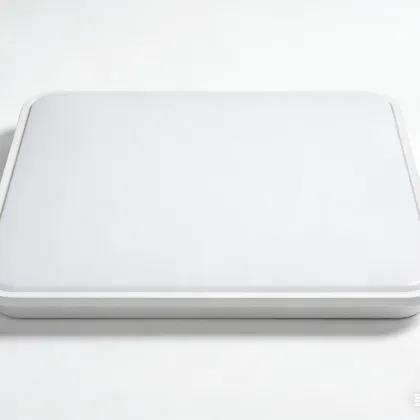 Ceiling-mounted LED ambient light