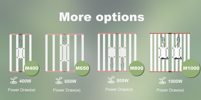 Envío rápido 1000W LED LED de espectro completo