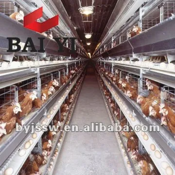Design Layer Chicken Cage for Poultry Farm