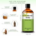 Best Quality Wholesale Supply 100% Pure Natural Organic Amla Essential Oil