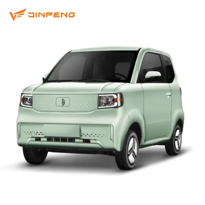 Pure Electric Mini Car for Family Outings