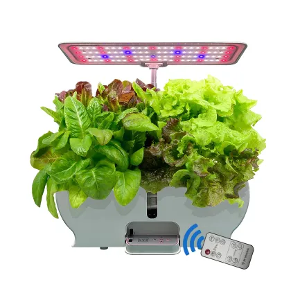Indoor Herb Garden Kit: Hydroponic System with LED