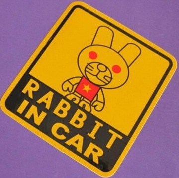 Reflective Car Sign