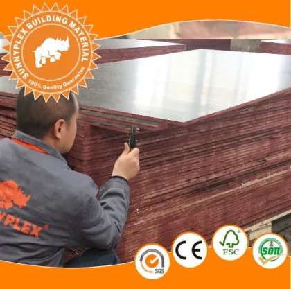 paper faced gypsum board machine