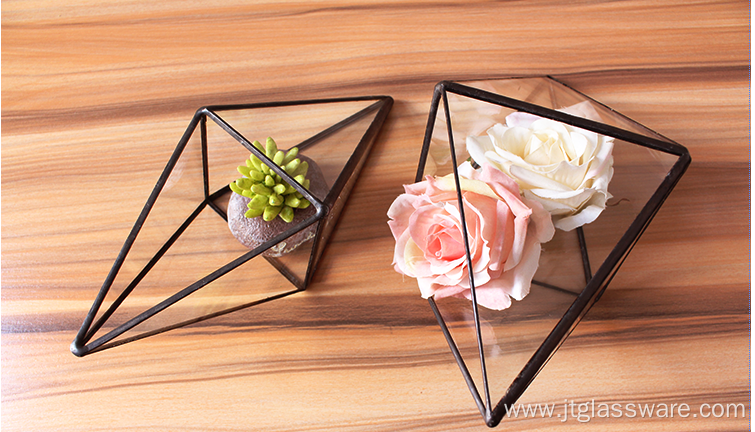 Plant Geometric Glass Terrarium Container