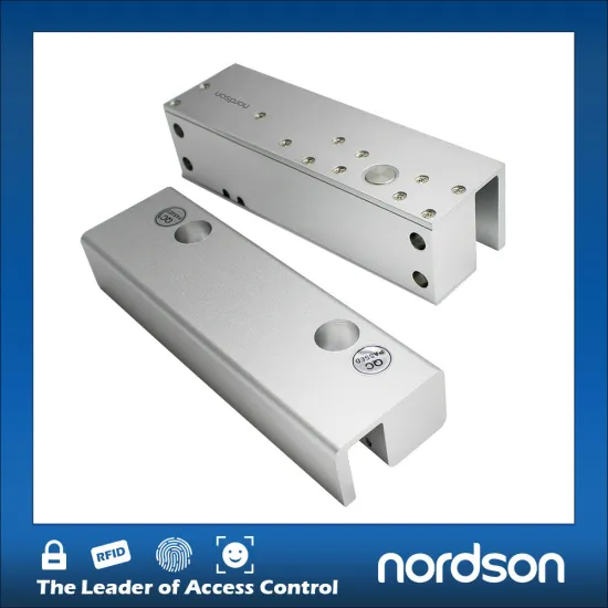 2015 Hot Electric Bolt Lock for Frameless Glass Door (NI-600)