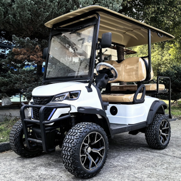 EG Supplier Import Custom Street Legal 48V/72V Lithium Golf Buggy/Mini Club Car/Electric Cart for Sale