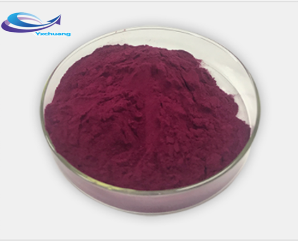 Purple Carrot Juice Powder