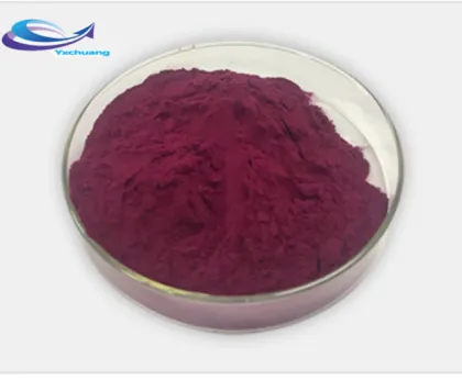 Wholesale Price Purple Carrot Juice Powder