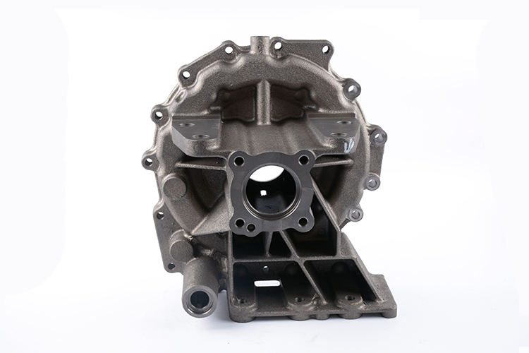 Cast iron variable speed housing