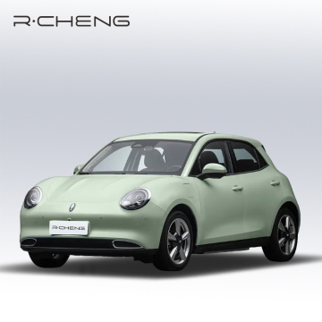 Left Hand Drive New Electric Compact Cars with 60kWh Battery: GWM Ora Good Cat MINI EV