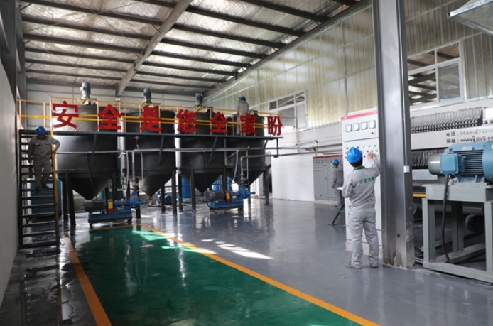 Company Information (2)