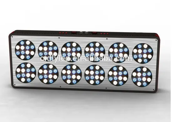 CIDLY LED 12 china good quality led aquarium light/aquarium led lighting