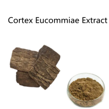 Buy online ingredients Cortex Eucommiae Extract Powder