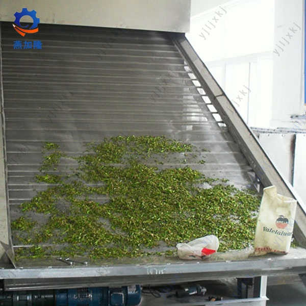 Stainless Steel Belt Dryer for Chemical Product