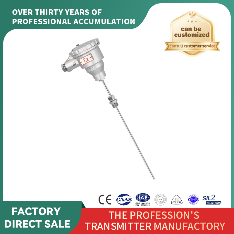 Senzori RTD/termocuplu blindați ignifugați