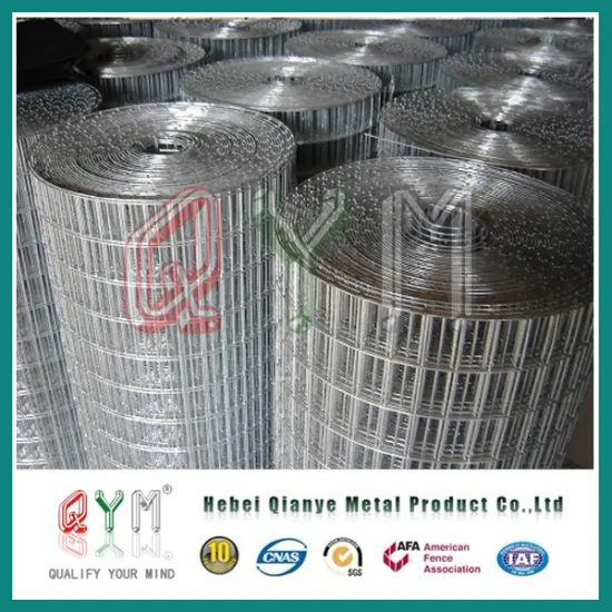 Construction Wire Mesh Rolls/ Rolled Welded Wire Mesh in Concrete