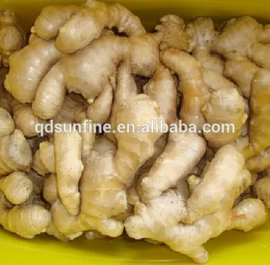 chinese new crop bulk air dried fresh ginger