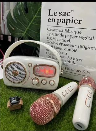 BT5.1 Wireless Home Audio Set with KTV Speaker for Living Room