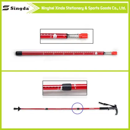 high quality popular nordic hiking pole