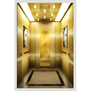 Modern Design Passenger Elevator for Apartment