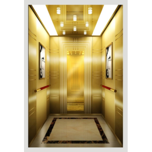 Modern Design Passenger Elevator for Apartment