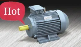 Three Phase Induction Motor- 2p