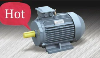 Three Phase Induction Motor- 2p
