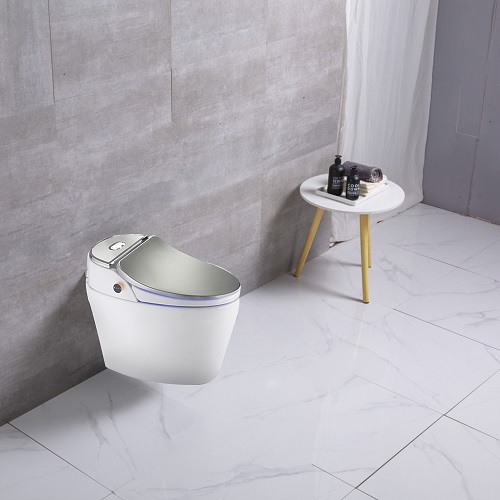 Inodoro bordado Bidet One Piece Sliver Color Smart Ioder